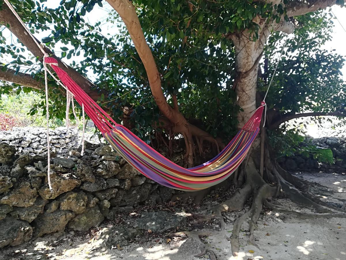 Taketomijima Guesthouse And Je Taime ภายนอก รูปภาพ